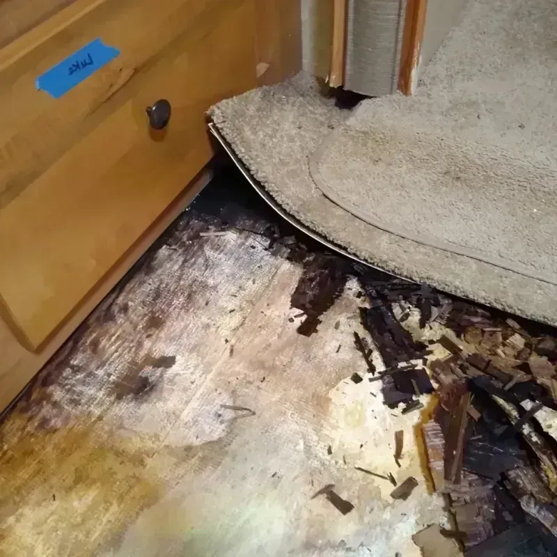 Wood Floor Water Damage in Centre County, PA